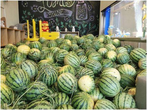 最新吃瓜免费,真相大白，明星隐私再掀波澜