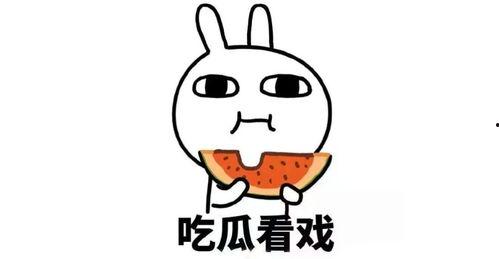 带你吃瓜14集,揭秘14集剧情高潮与悬念