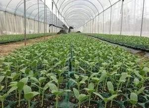 家长淡定吃瓜,见证孩子成长瞬间