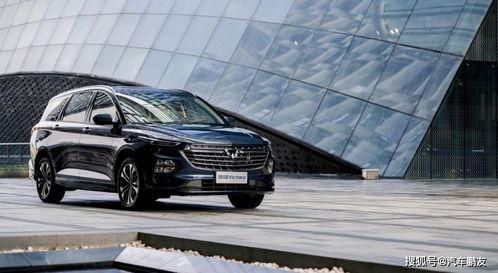 汽车销售吃瓜视频