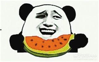 张家吃瓜群众,揭秘社区热点背后的故事