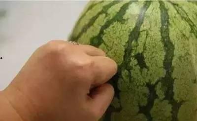 灰暗吃瓜,揭秘娱乐圈背后的真相与秘密