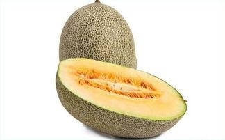 见面吃哈密瓜,见面就吃哈密瓜的温馨瞬间