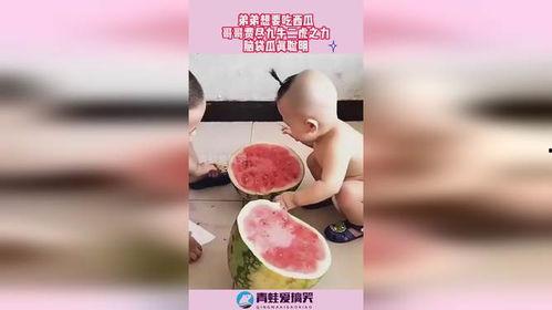 脑袋瓜可以吃吗,揭秘人类大脑的神秘与美味