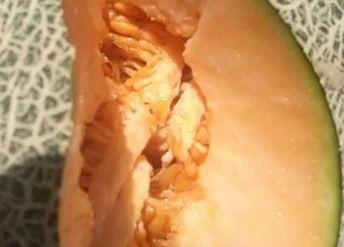 伽师吃瓜,探寻新疆伽师特色美食之旅