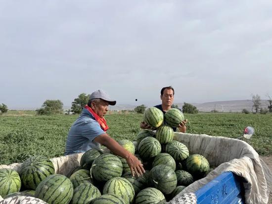 月落在线吃瓜,揭秘娱乐圈幕后风云