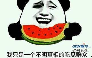 今日吃瓜的意思,揭秘娱乐圈最新热点事件