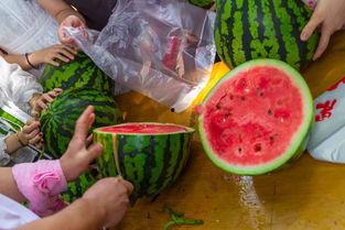 泉州吃瓜视频,探寻闽南美食的独特魅力