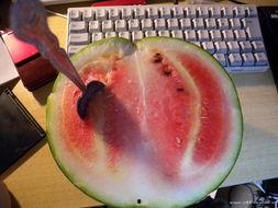 叫哥吃瓜,揭秘娱乐圈幕后故事