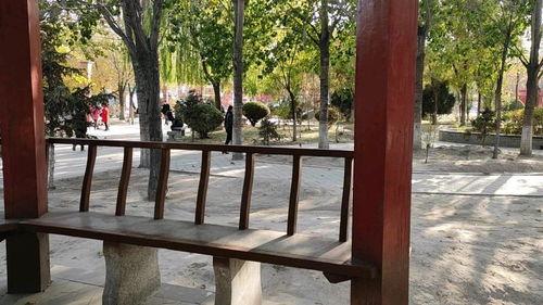 公园长椅吃瓜保安,一幕日常中的社会观察