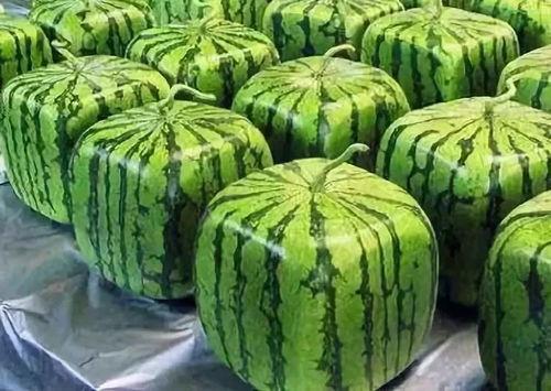 吃瓜多年,吃瓜群众眼中的娱乐圈风云录