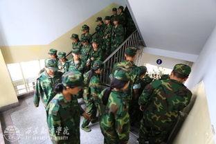 西安翻译教官吃瓜,一场校园风波的幕后真相