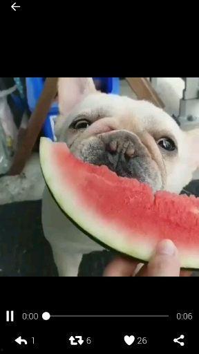 吃瓜活人吃心,揭秘娱乐圈的残酷真相