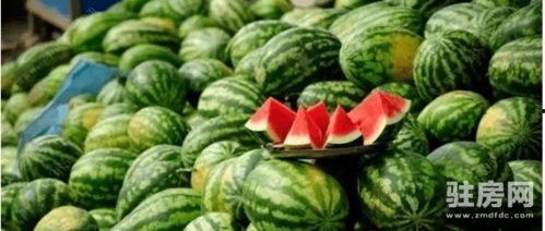 湖高旅吃瓜,揭秘校园美食圈的热辣故事