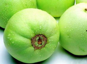 梨瓜甜瓜怎么吃