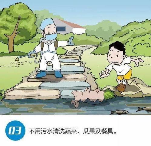 发洪水期间吃瓜群众