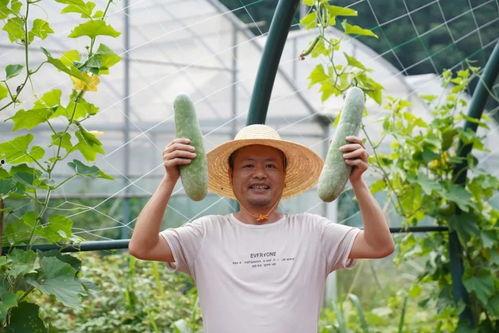 共同富裕吃瓜,共享发展成果，共筑美好未来