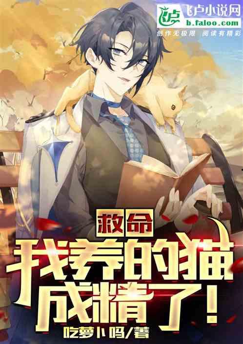 吃瓜大户小说,揭秘娱乐圈背后的秘密风云