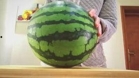 喜欢上了吃瓜,揭秘我爱上吃瓜的甜蜜之旅