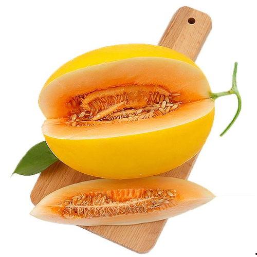 怎样吃小蜜瓜,小蜜瓜的多样美味体验