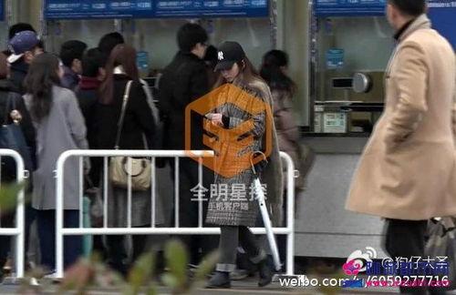 张云龙吃瓜群众,吃瓜群众的娱乐盛宴