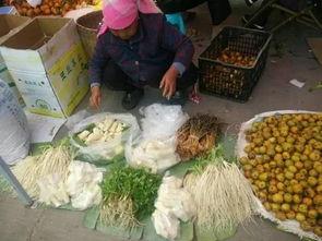 早餐店吃瓜,一瓜在手，早餐不愁