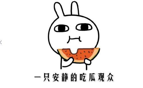 抖音吃瓜仙女,揭秘网红背后的故事  第3张