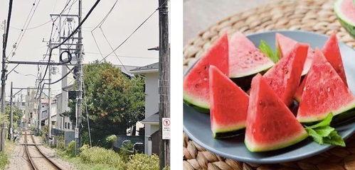 浪漫的人吃瓜,甜蜜邂逅，舌尖上的爱情故事