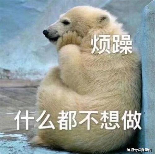 吃瓜群众大笑图片