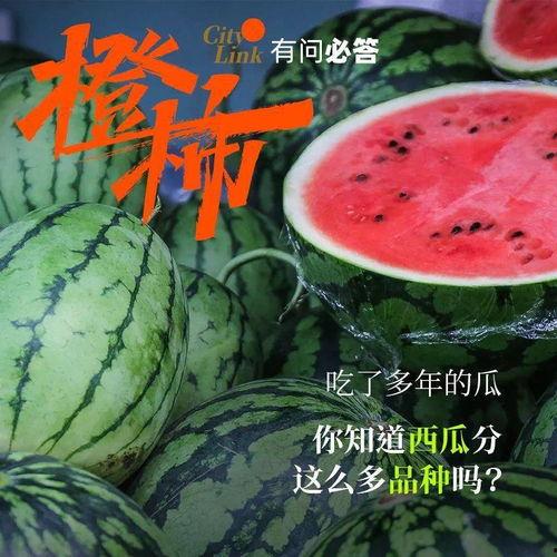 入夏吃瓜群众,吃瓜群众欢乐多