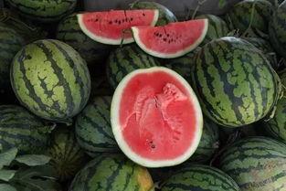 入夏吃瓜群众,吃瓜群众欢乐多 第3张 入夏吃瓜群众,吃瓜群众欢乐多 第3张