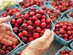 樱桃吃瓜视频,揭秘网红美食背后的故事  第3张