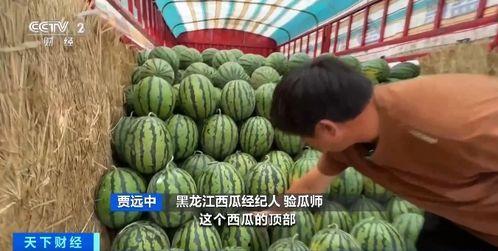 涵江吃瓜后续  第2张