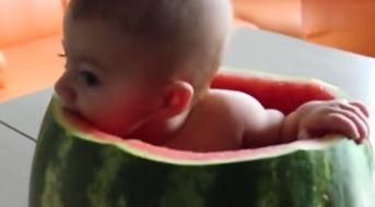 宝宝正确吃瓜  第3张