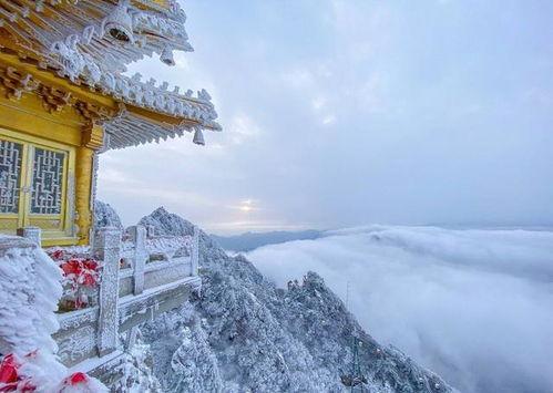 老君山吃瓜