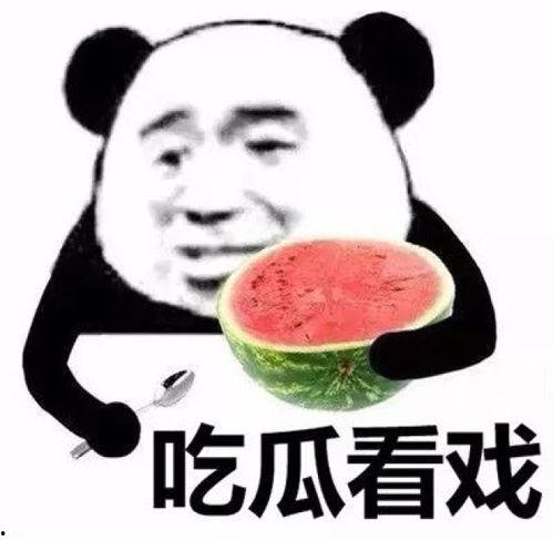 吃瓜动物表情包,揭秘吃瓜动物表情包的魅力所在  第2张