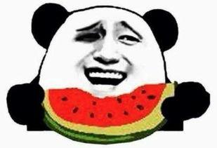安庆吃瓜群众免费吃瓜