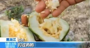 带你吃瓜买藕,探寻夏日消暑美食之旅  第2张