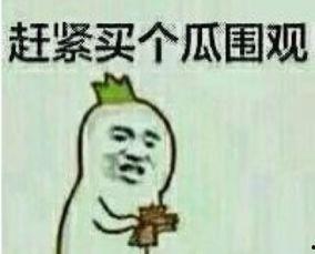 狼狈吃瓜表情包,笑翻朋友圈的年度表情包盘点  第2张