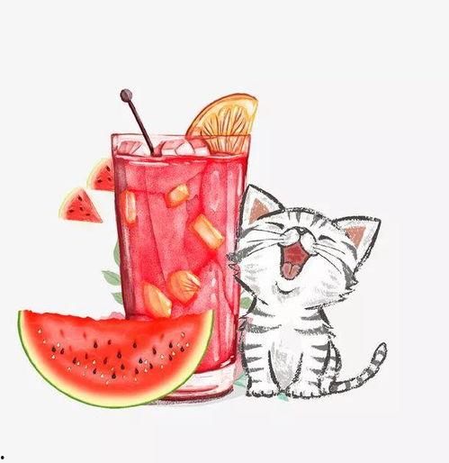 猫狗吃冰吃瓜  第2张