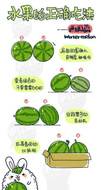 花式吃瓜的正确吃法,趣味盎然的夏日消暑秘籍  第2张