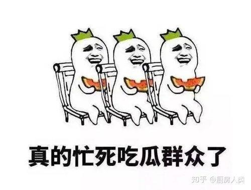 吃瓜什么瓜啊,揭秘“吃瓜群众”的瓜界风云