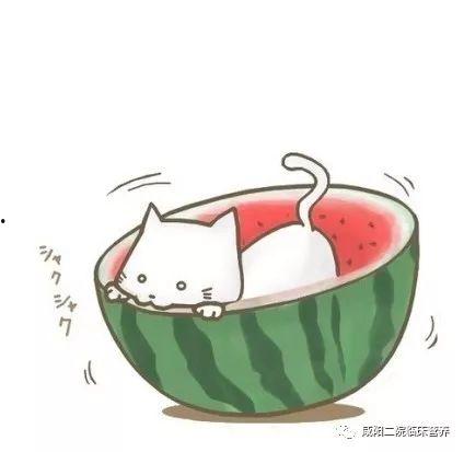 萌小希吃瓜头像,揭秘娱乐圈幕后风云  第3张